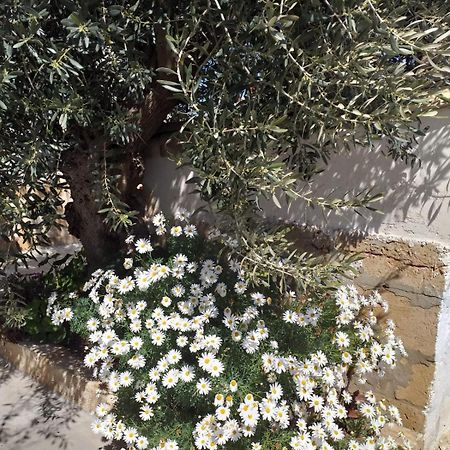 Villa Casa Le Gebbie Marzamemi Exterior foto