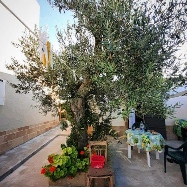 Villa Casa Le Gebbie Marzamemi Exterior foto