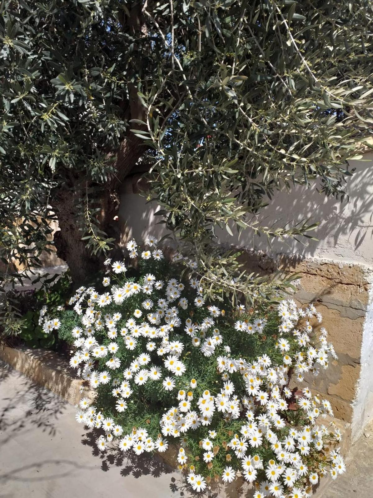 Villa Casa Le Gebbie Marzamemi Exterior foto