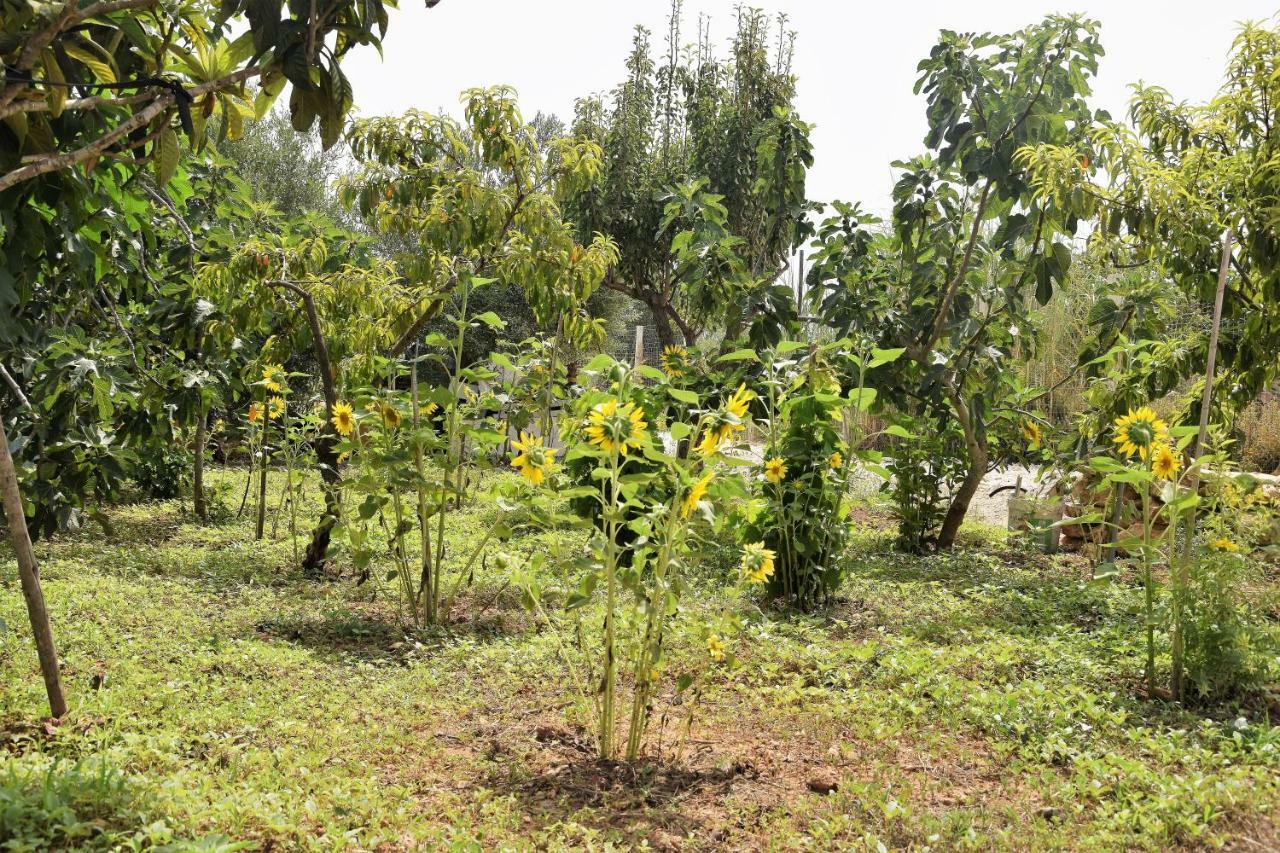 Villa Casa Le Gebbie Marzamemi Exterior foto
